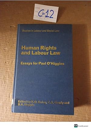 Human Rights And Labour Law Essays For Paul O'Higgins By Ewing And Hepple