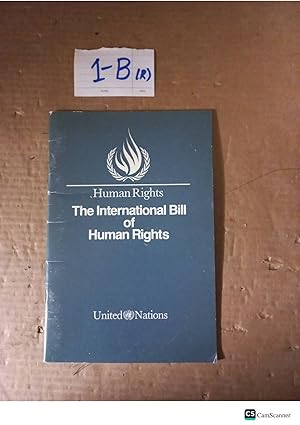 Human Rights The International Bill of Human Rights United Nations