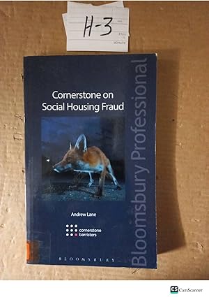Cornerstone On Social Housing Fraud By Andrew Lane