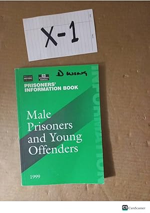Male Prisoners And Young Offenders 1999