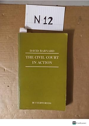 The Civil Court In Action By David Bernard