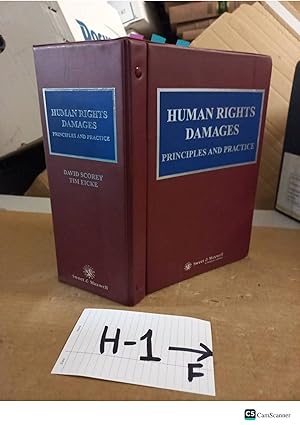 Human Rights Damages Principles and Practice looseleaf by David Scorey and Tim...